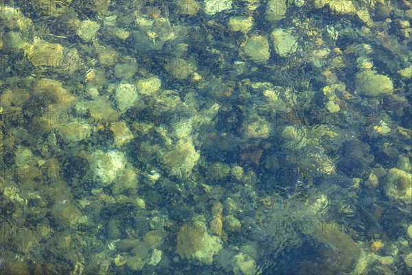 Clear waters of Salmon River