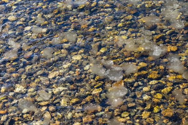 Clear waters of Salmon River