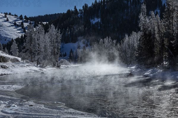 Salmon River in winter