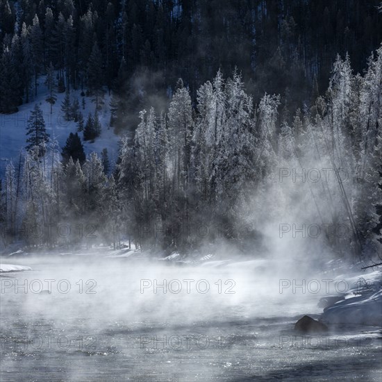 Salmon River in winter