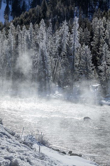 Salmon River in winter