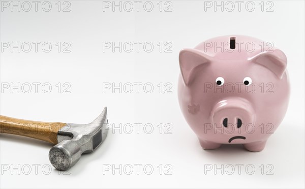 Studio shot of pink piggy bank and hammer