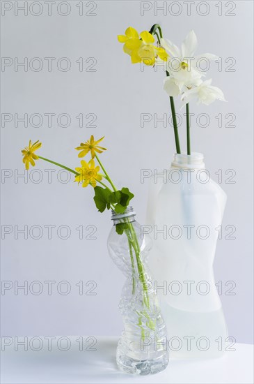 Spring flowers in crushed recycled plastic bottles