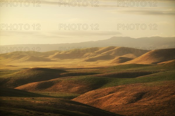 Hilly landscape at sunset