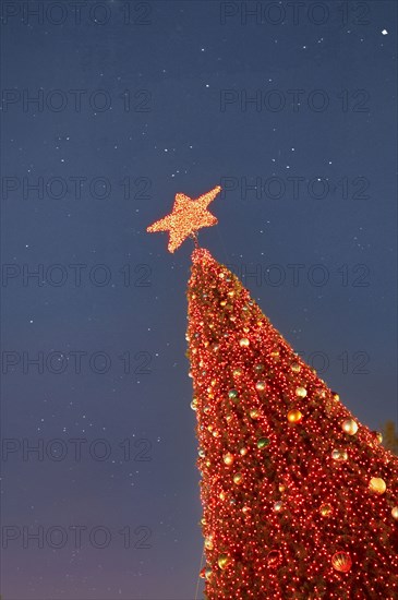 Low angle view of red Christmas tree against sky at night
