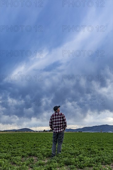 Rear view of farmer standing in field under storm clouds