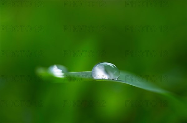 Close-up of water drops on grass