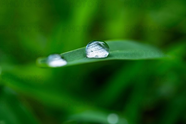 Close-up of water drops on grass