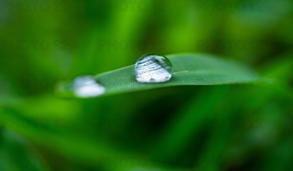 Close-up of water drops on grass