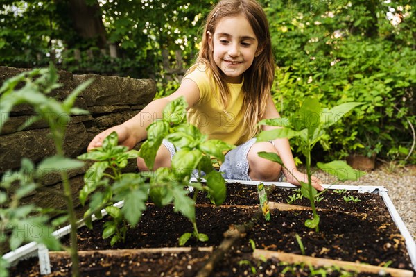 Girl picking basil in garden