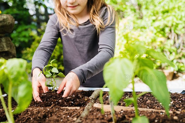 Smiling girl planting seedling