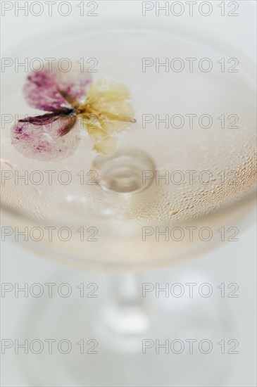 Sparkling rose wine with edible flower garnish