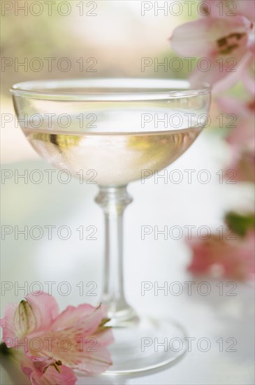 Sparkling rose wine in glass