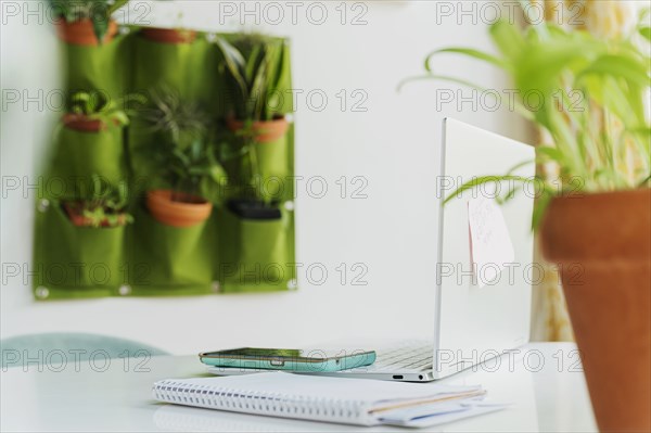 Laptop and smart phone by vertical garden