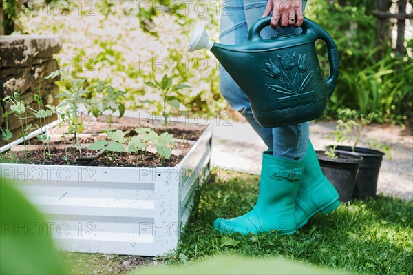 Woman holding watering can by raised garden bed