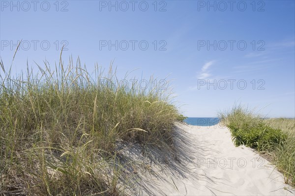Usa, Massachusetts, Nantucket, Sandy path leading to beach