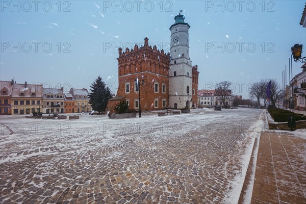 Town hall in town square