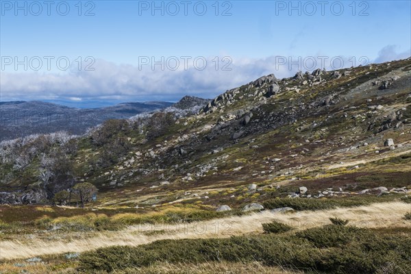 Australia, New South Wales, Landscape with mountains in Kosciuszko National Park