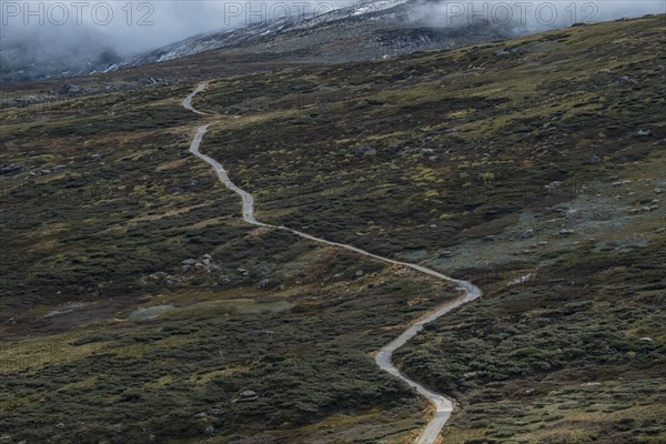 Australia, New South Wales, Hiking trail in mountains at Charlotte Pass in Kosciuszko National Park