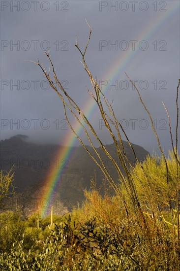 USA, Arizona, Tucson, Rainbow in landscape with mountains in background