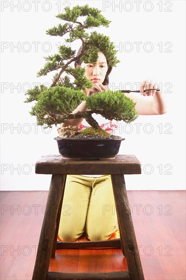 Woman trimming bonsai tree