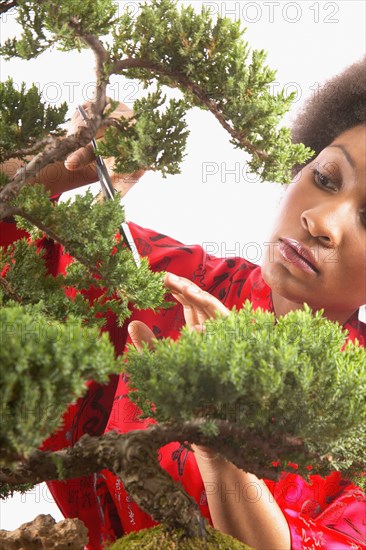 Close-up of woman trimming bonsai tree