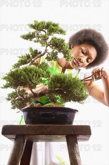 Woman trimming bonsai tree