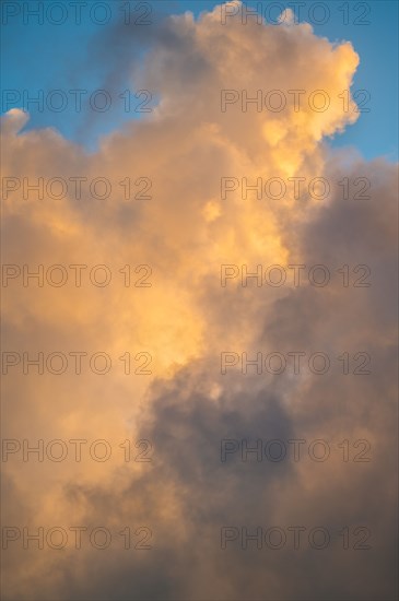 Golden Cumulus clouds on sky at sunset