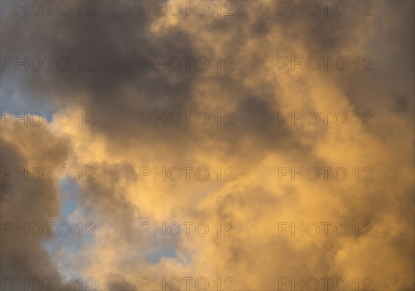 Golden Cumulus clouds on sky at sunset