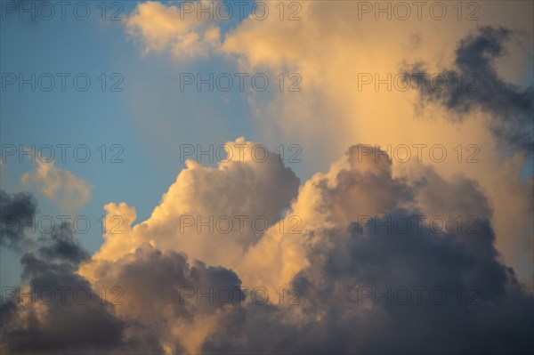 Golden Cumulus clouds on sky at sunset