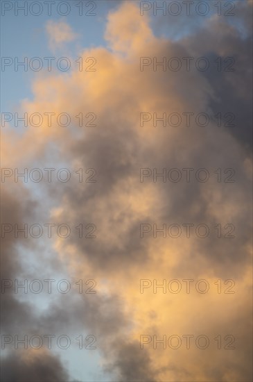 Golden Cumulus clouds on sky at sunset