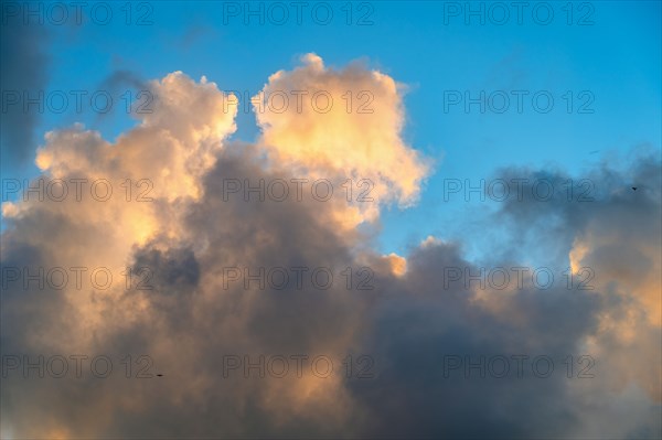 Golden and gray Cumulus clouds on sky at sunset