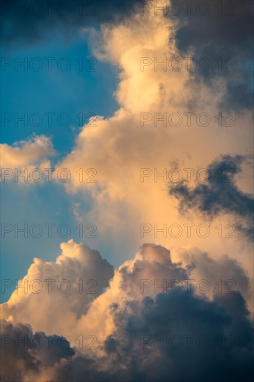 Golden Cumulus clouds on sky at sunset