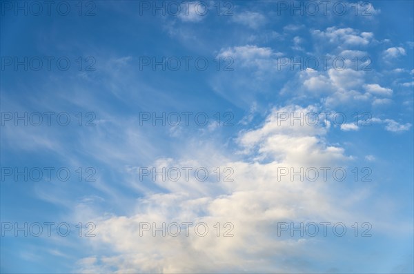 Blue sky with soft puffy clouds