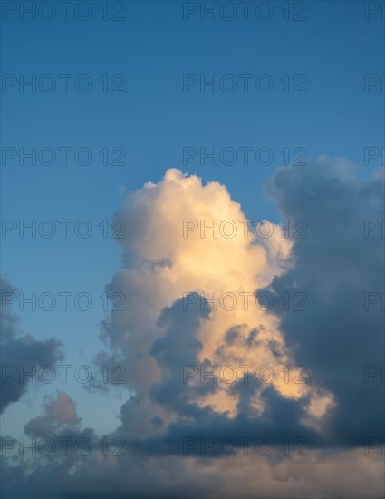 Large golden cumulus cloud against sky