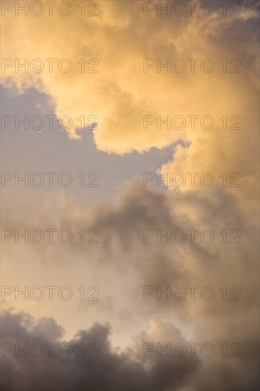 Gold and gray Cumulus clouds