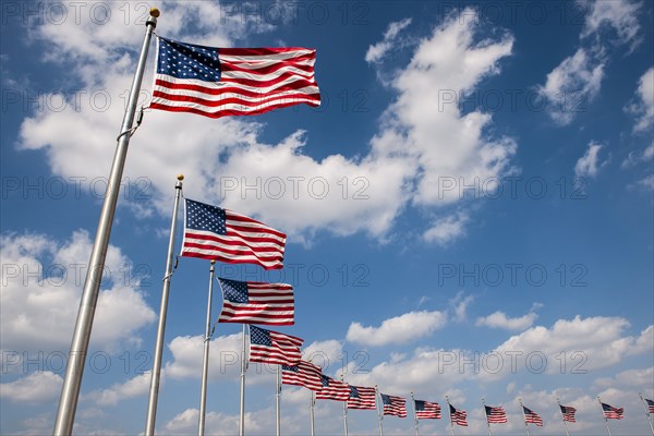 Row of American flags