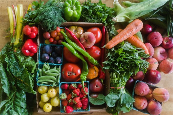 Overhead view of assorted vegetables