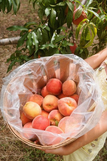 Close-up of girls hands holding bucket