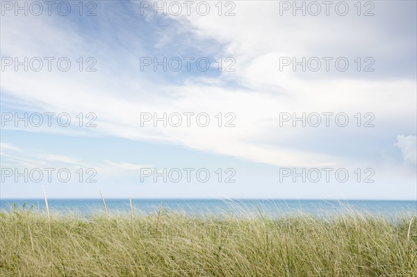 Atlantic Ocean from dunes at Siasconset Beach