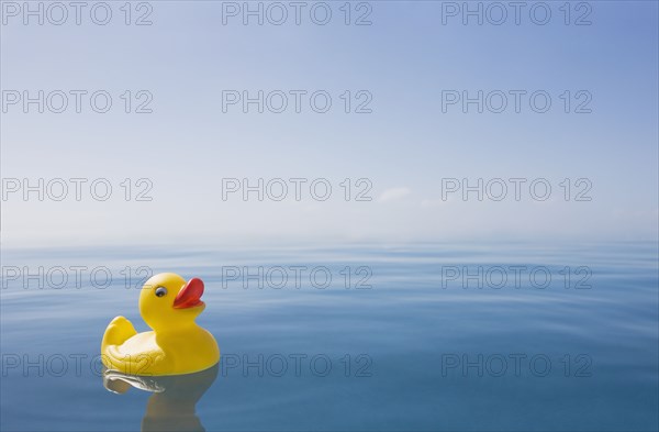 Rubber duck floating on calm water surface