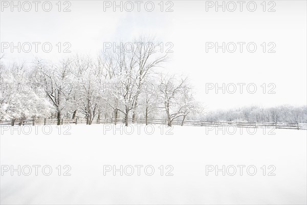 Jockey Hollow in winter