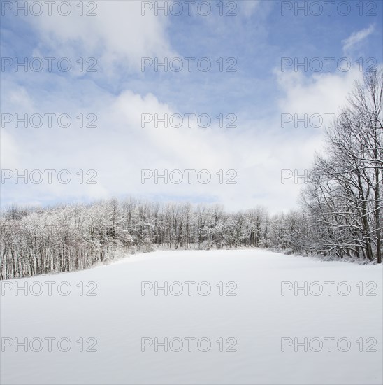 Jockey Hollow in winter