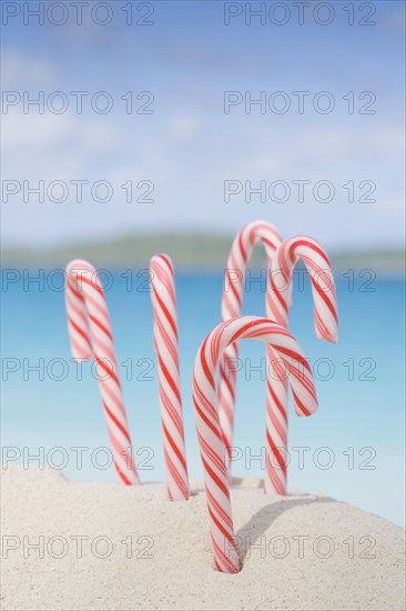 Christmas Candy Canes on tropical beach
