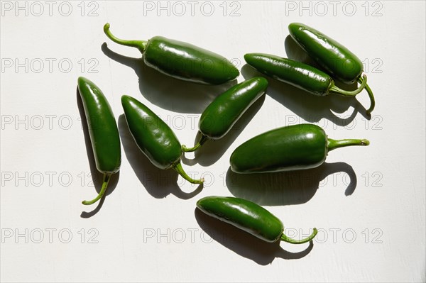 Studio shot of green jalapeno peppers