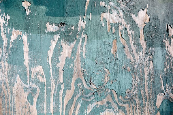 Close-up of peeling turquoise wood