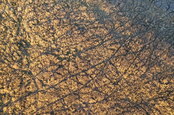 Aerial view of tire tracks in field