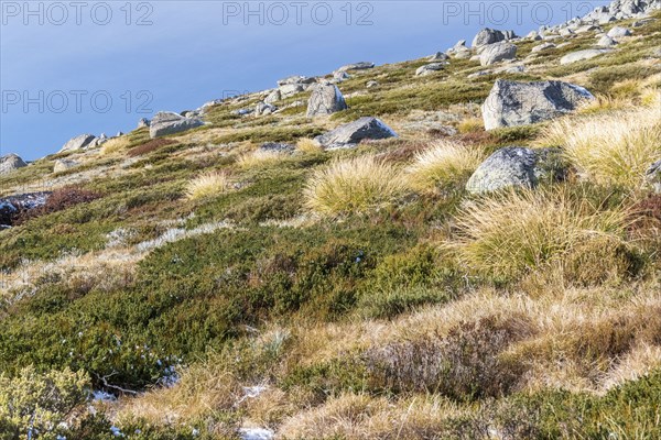 Kosciuszko National Park