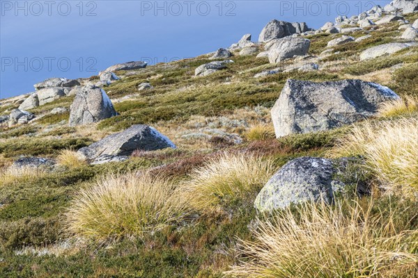 Kosciuszko National Park