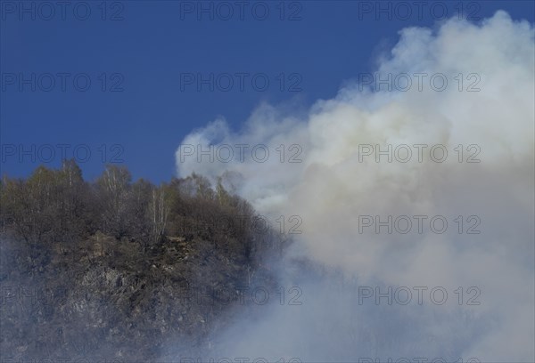 Smoke from forest fire